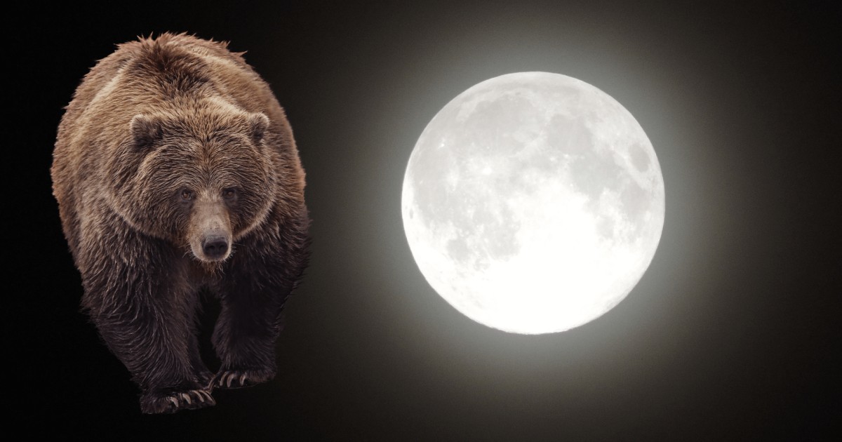 La Luna di Febbraio è la Luna dell'Orso. Scopriamola insieme!